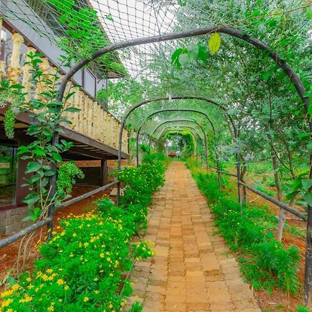 Phuong Nam Gia Trang Farmstay Gia Nghia Luaran gambar