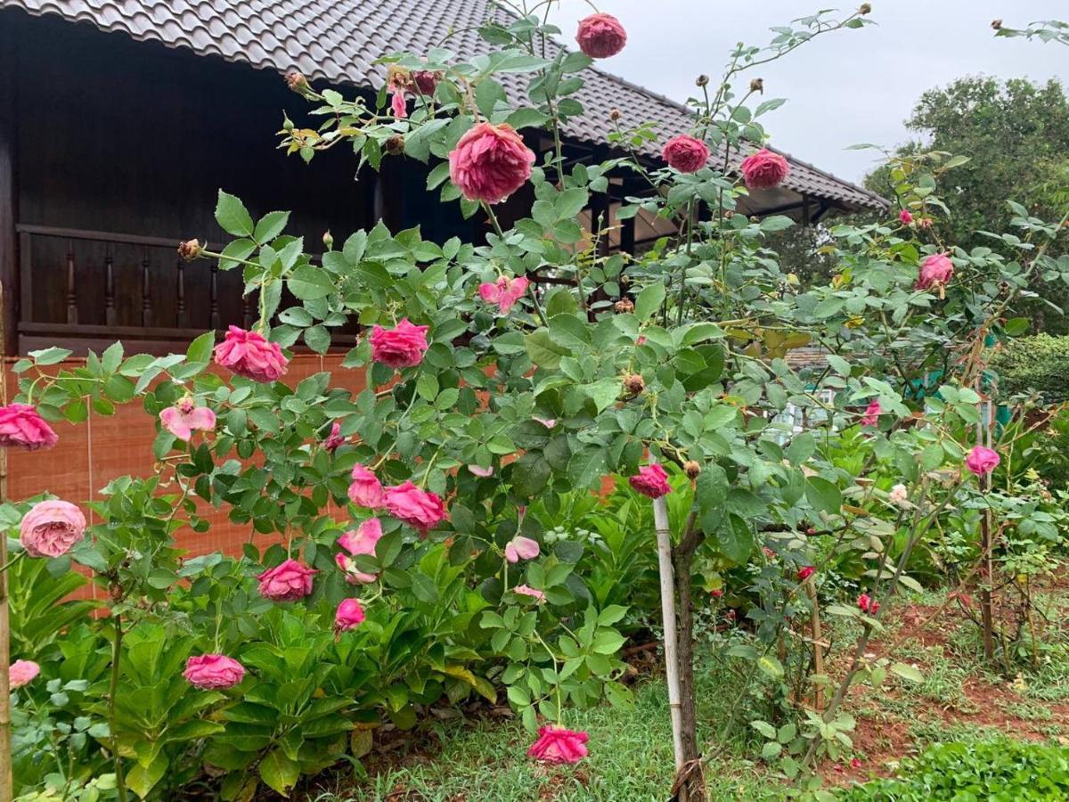 Phuong Nam Gia Trang Farmstay Gia Nghia Luaran gambar